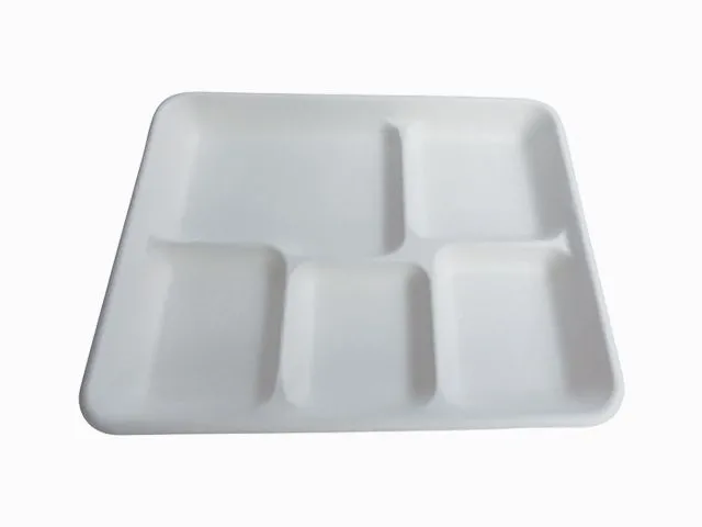 5格一次性可降解环保快餐盒